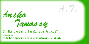 aniko tamassy business card